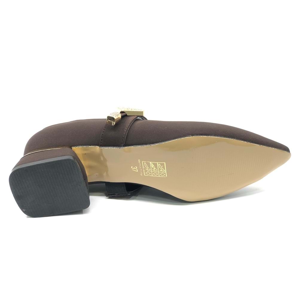 Feles Blower Detaylı Sivri Burun Topuklu Kadın Ayakkabı