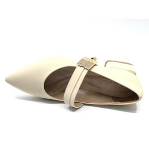 Feles Blower Detaylı Sivri Burun Topuklu Kadın Ayakkabı