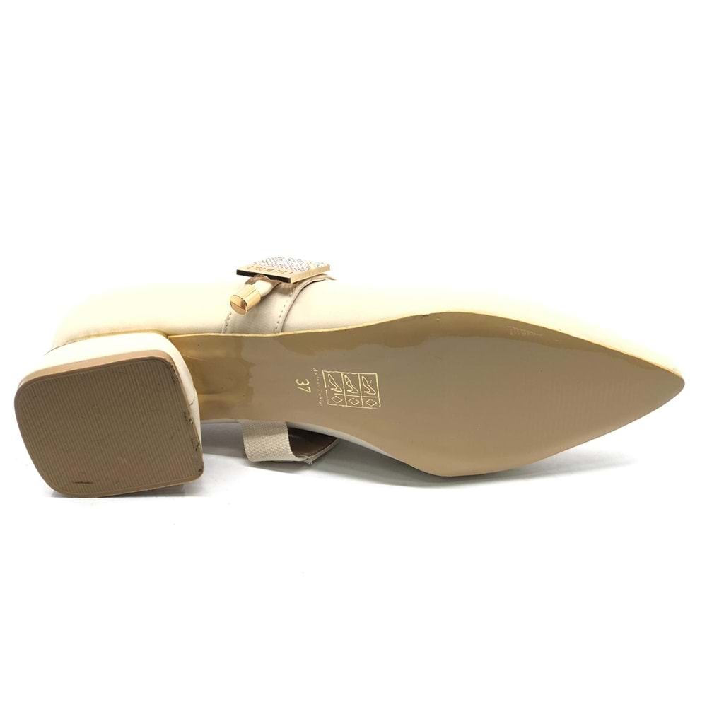 Feles Blower Detaylı Sivri Burun Topuklu Kadın Ayakkabı