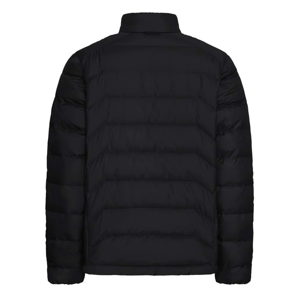 Jack Wolfskin Wild Pass Down RDS 700 Fp Dolum Kaz Tüyü Mont Outdoor Erkek Mont