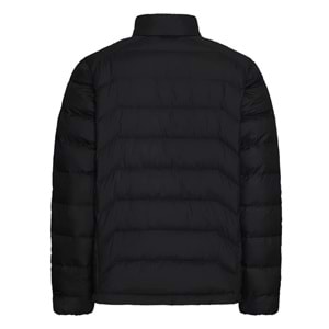 Jack Wolfskin Wild Pass Down RDS 700 Fp Dolum Kaz Tüyü Mont Outdoor Erkek Mont